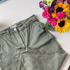 Everlane Sage Green Cropped Wide Leg Pant